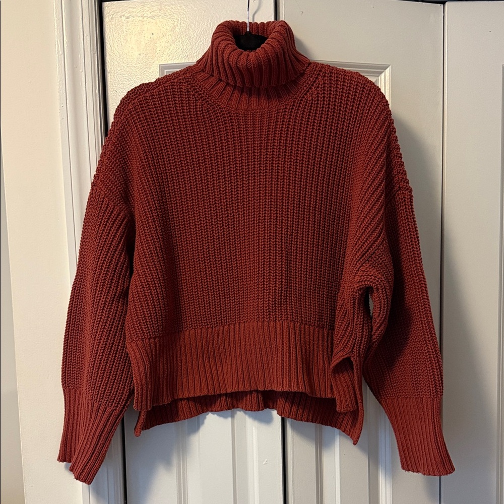 Madewell Brick Red Turtleneck Sweater